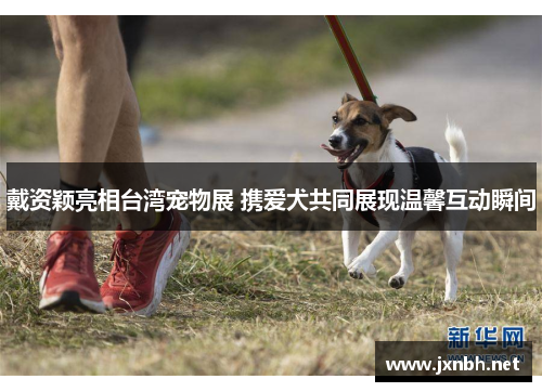 戴资颖亮相台湾宠物展 携爱犬共同展现温馨互动瞬间