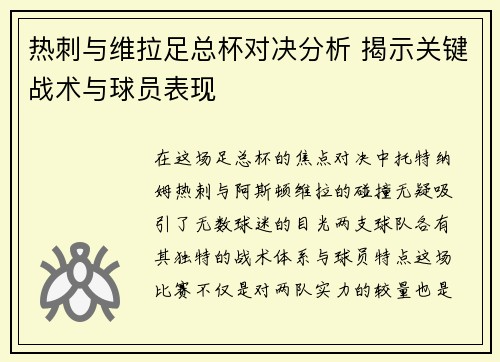 热刺与维拉足总杯对决分析 揭示关键战术与球员表现